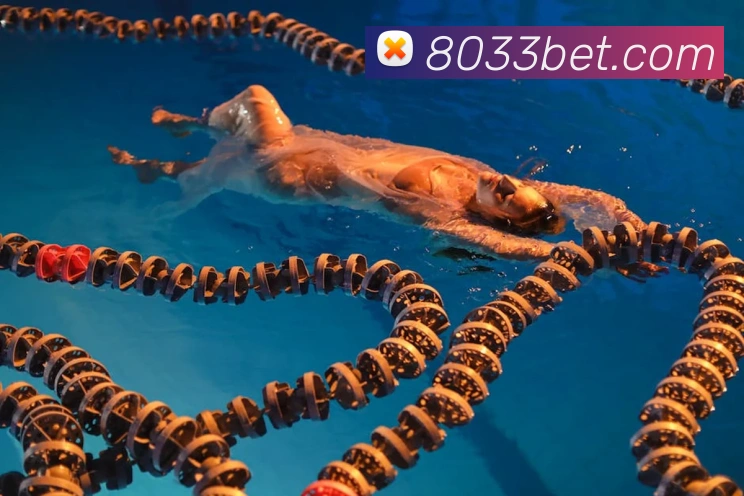 体育App